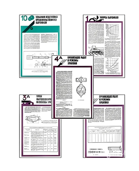 Плакаты "Хранение картофеля при интенсивной технологии выращивания"