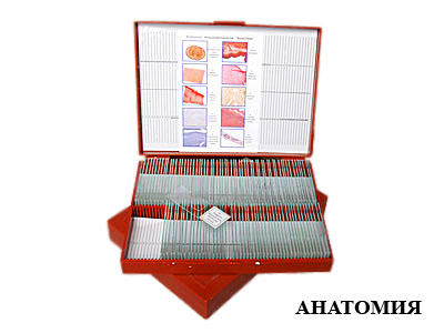 Комплект микропрепаратов "Анатомия" (базовый)