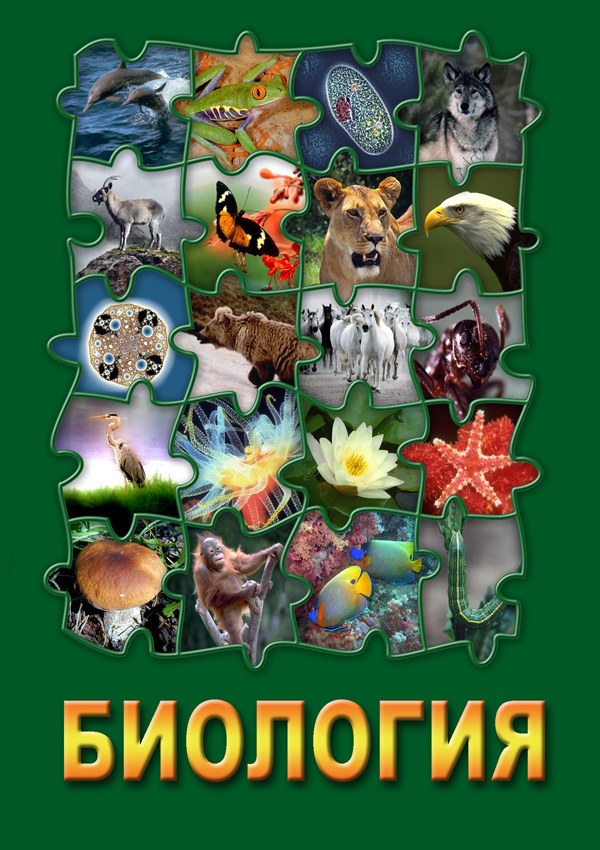 Комплект видеофильмов для кабинета биологии на DVD-Дисках