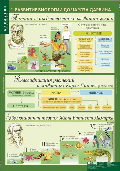 Биология 10-11 классы. Эволюционное учение (10 таблиц)