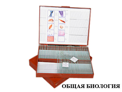Комплект микропрепаратов "Общая биология" (базовый)