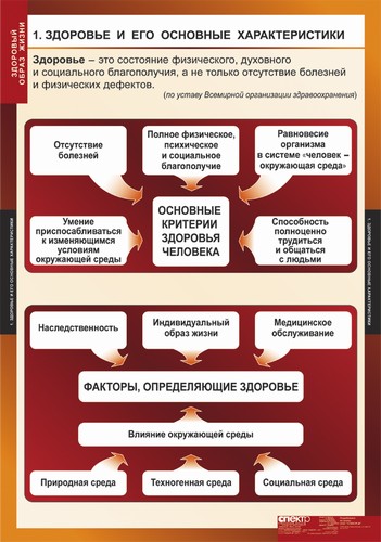Плакаты "Здоровый образ жизни"