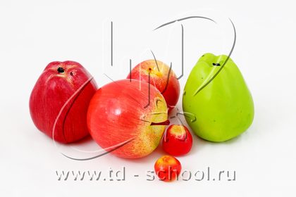 Набор муляжей "Дикая форма и культурные сорта яблок"