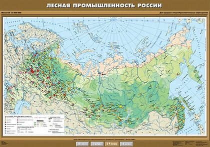 Карта "Лесная промышленность России"