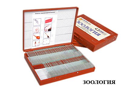 Комплект микропрепаратов "Зоология" (базовый)