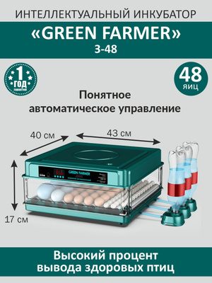 Инкубатор