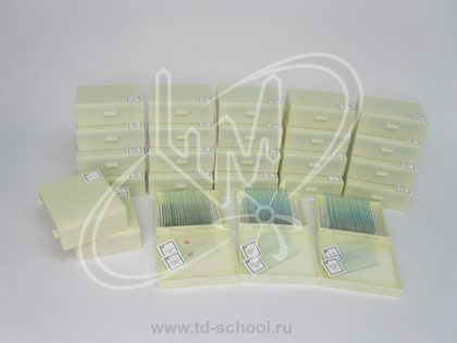 Комплект микропрепаратов по ботанике (профильный уровень)