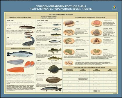 Стенд "Способы обработки костной рыбы. Полуфабрикаты. Порционные куски. Пласты"