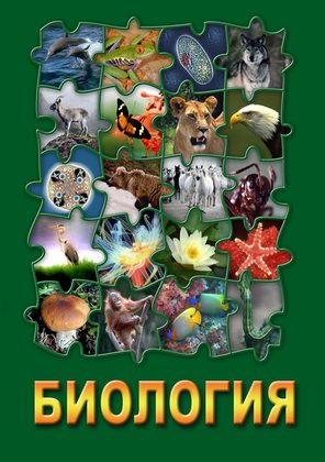 Комплект видеофильмов для кабинета биологии на DVD-Дисках