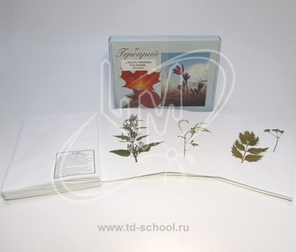 Лекарственные растения (гербарий)