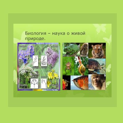 Комплект коллекций по биологии (19 коллекций)