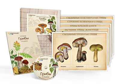 Электронное пособие "Грибы" (CD + 10 постеров)