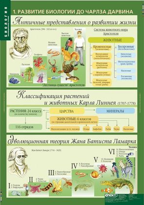 Биология 10-11 классы. Эволюционное учение (10 таблиц)