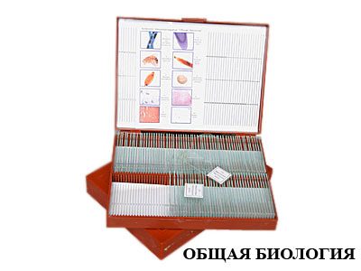 Комплект микропрепаратов "Общая биология" (базовый)