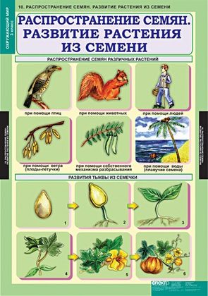 Окружающий мир 3 класс (15 таблиц)